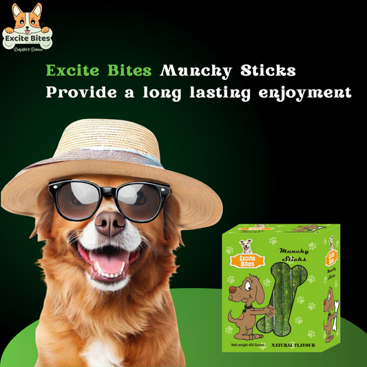 Excite Bites Natural Flavor Munchy Sticks - 450 g Dog Chew Sticks