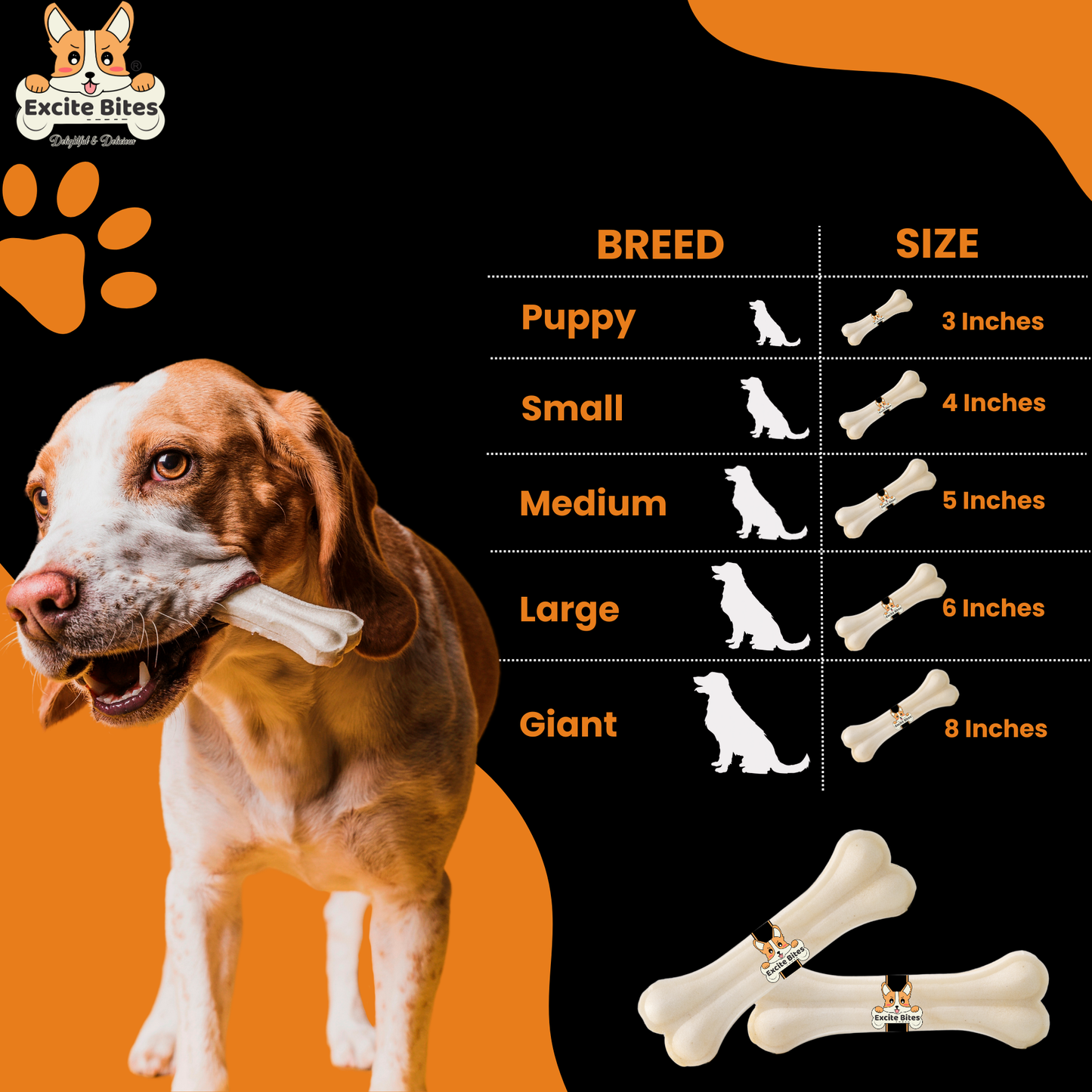 Excite Bites Combo Offer - Pet Rawhide Bones (Dog Chews) (8"-1Pcs), 150 g (Pack of 2)